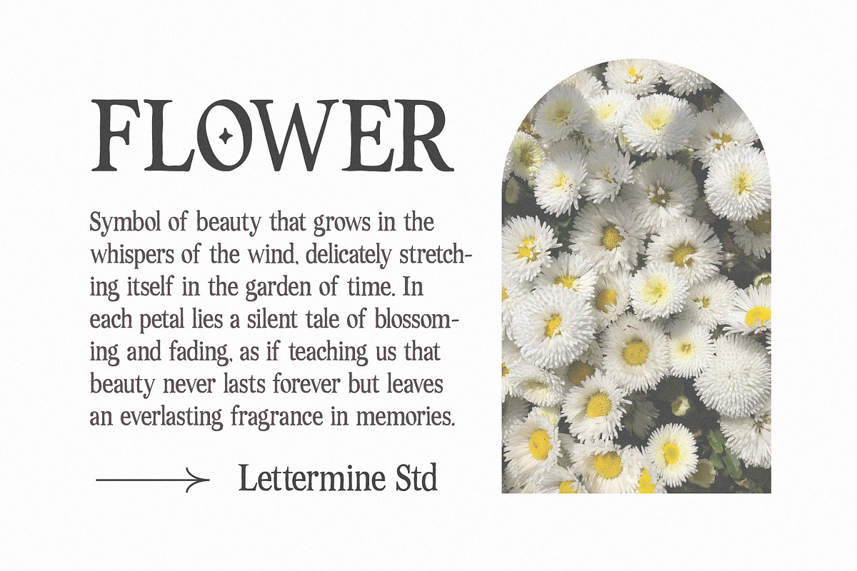 Dastine Oramica - Organic Serif, a Handwritten Font by Lettermine (Photo 4 of 10)