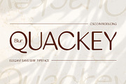 Quackey Blur, a Sans Serif Font by Craft Supply Co. (Thumbnail 1 of 8)