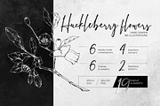 Inky huckleberry flowers, a Food Illustration by MsFlaffy (Thumbnail 1 of 11)