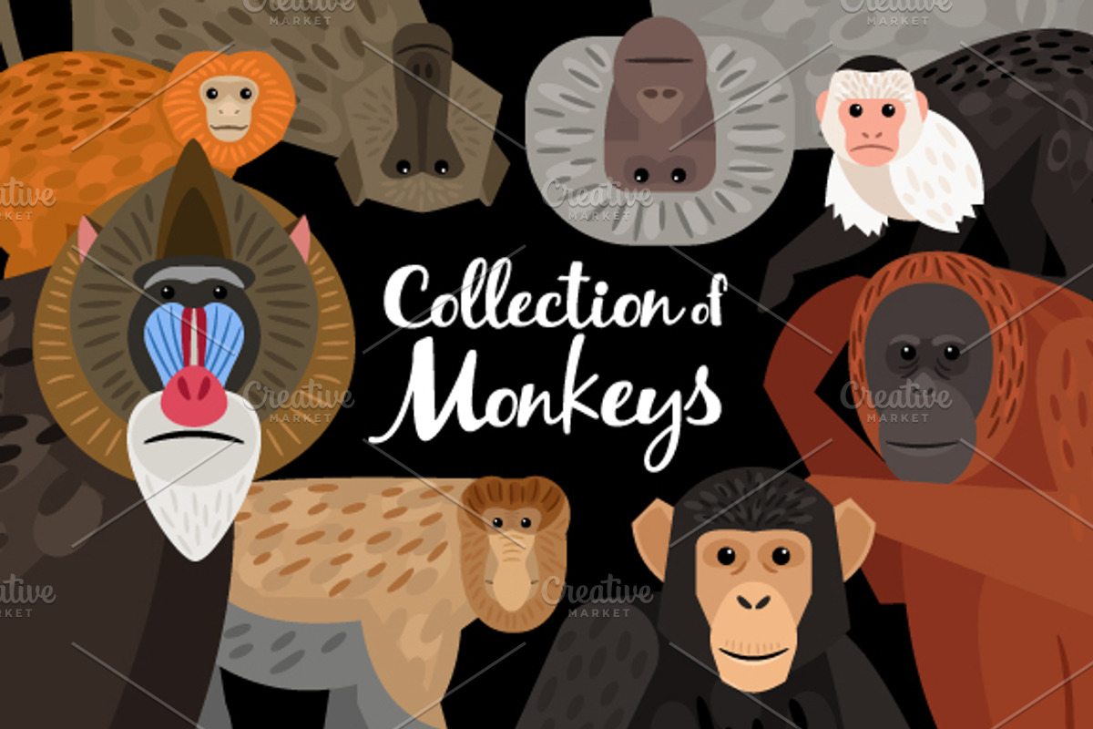Monkeys, an Icon by ianakauri (Photo 1 of 4)