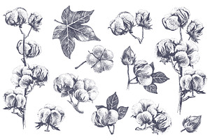 Hand Drawn Botanical Bundle