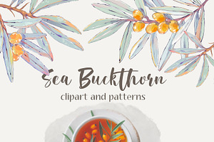 Sea buckthorn clipart and patterns