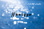 Nerissa font, a Script Font by TNE Designs (Thumbnail 1 of 3)