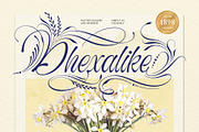 Bredlive Typeface, a Script Font by alit design (Thumbnail 5 of 20)