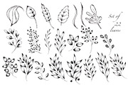 Black and White Botanical Collection, an Illustration by TanataDesign (Thumbnail 3 of 8)