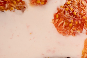 yogurt with fresh figs, fresh pink yogurt with fig flavor in a glass jar and wi, a Photo by rsoollAI