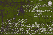 Wild Flower - Gothic Script, a Script Font by Setara Langit CreativeStd (Thumbnail 8 of 15)