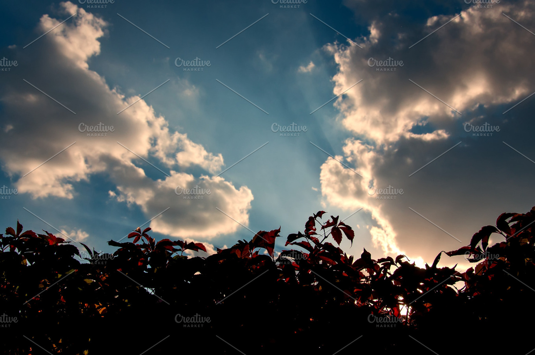 Scenic Background