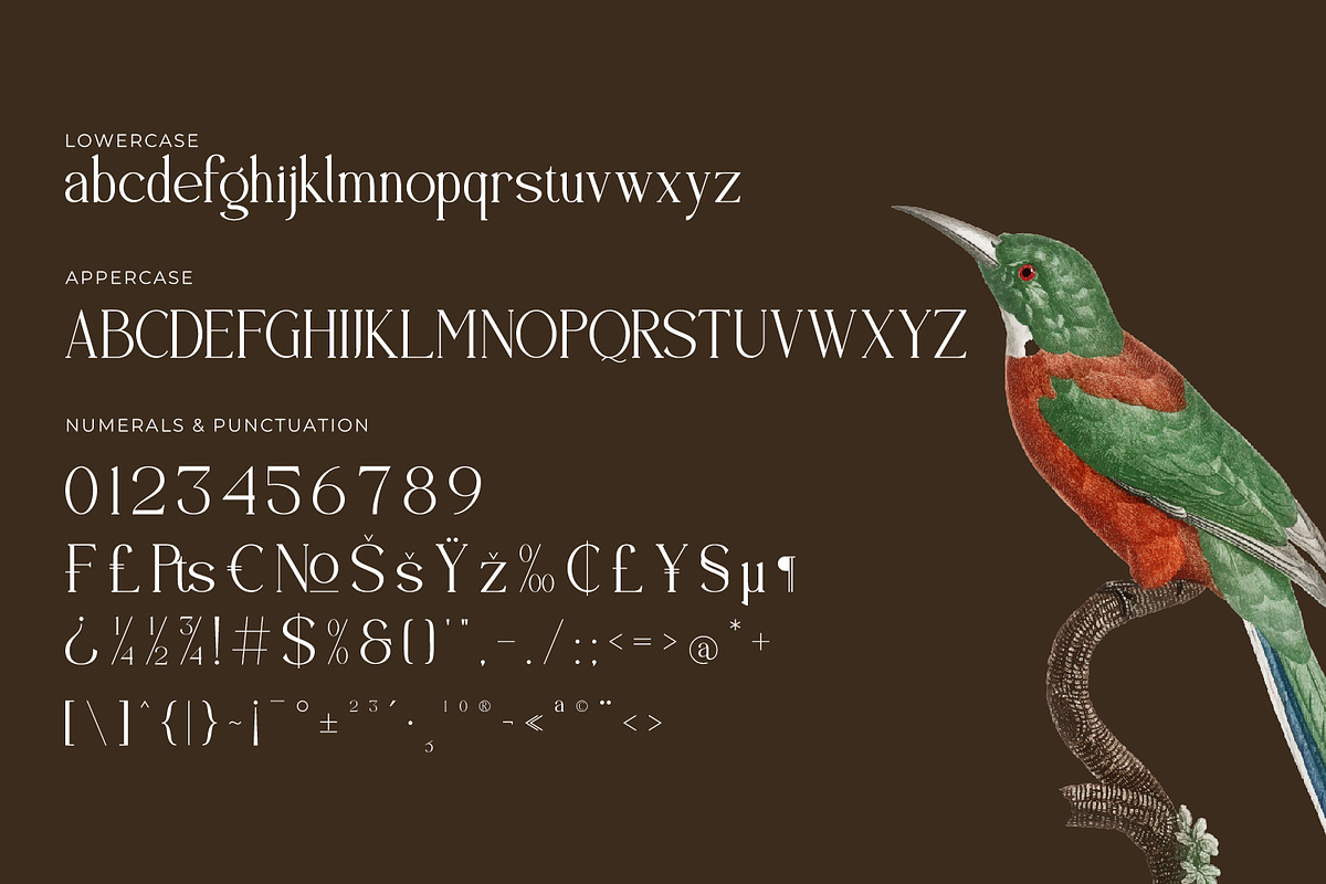 Brastoville - Modern Serif Font, a Serif Font by Rishsketch (Photo 13 of 15)