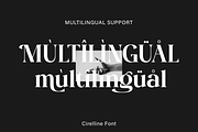 Cirelline, a Serif Font by Zaloma Studio (Thumbnail 15 of 19)