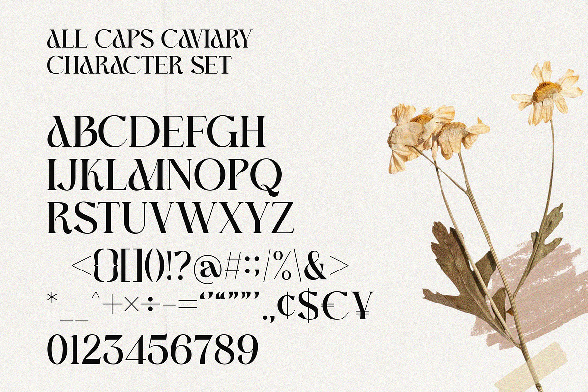 Caviary - Display serif font, a Serif Font by Almeera Std (Photo 8 of 8)