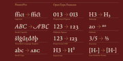 Pesaro, a Serif Font by Hoftype (Thumbnail 5 of 7)