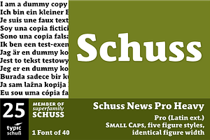 SchussNewsProHeavy No.25 1 Font