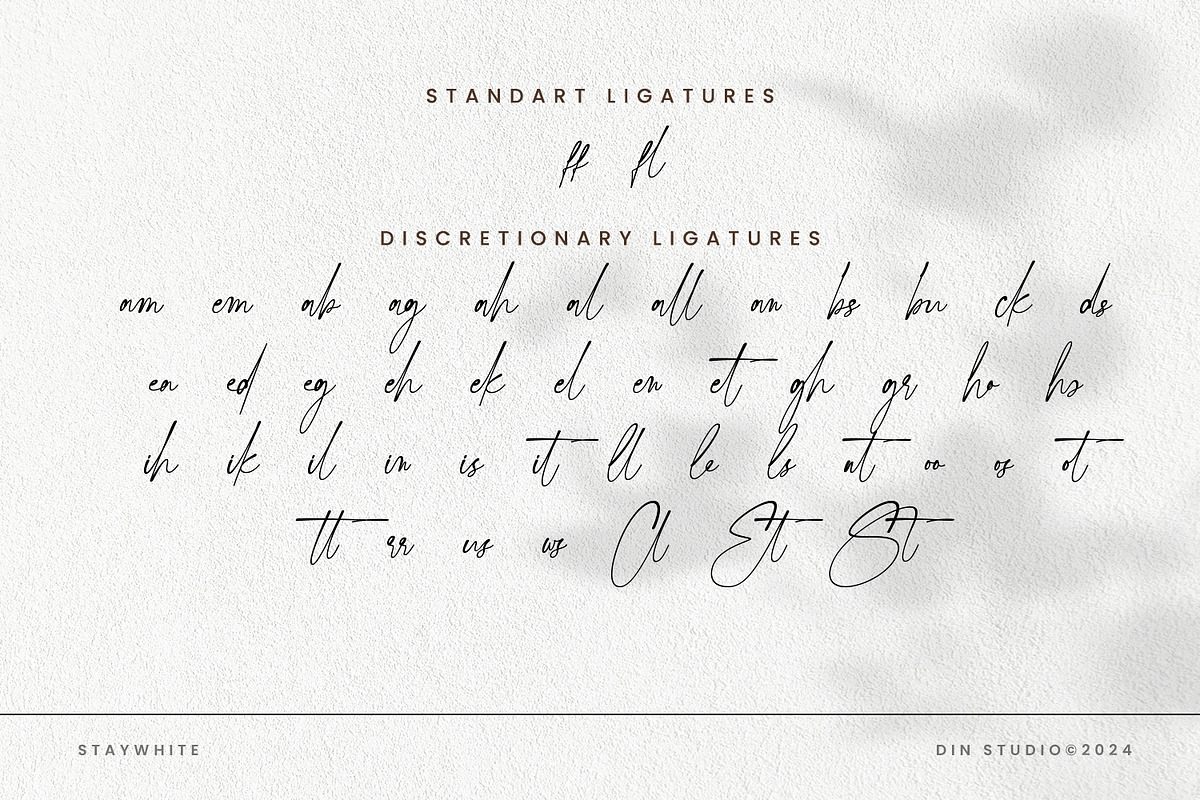 Staywhite, a Script Font by din-studio.com (Photo 11 of 12)