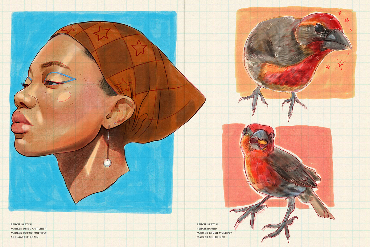 Daily Sketch – Procreate Brushes, a Brush Add-On by Sadie Lew (Photo 13 of 13)