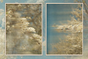 Plum Blossom Floral Backgrounds, a Background Graphic by lerinartstudio (Thumbnail 7 of 11)
