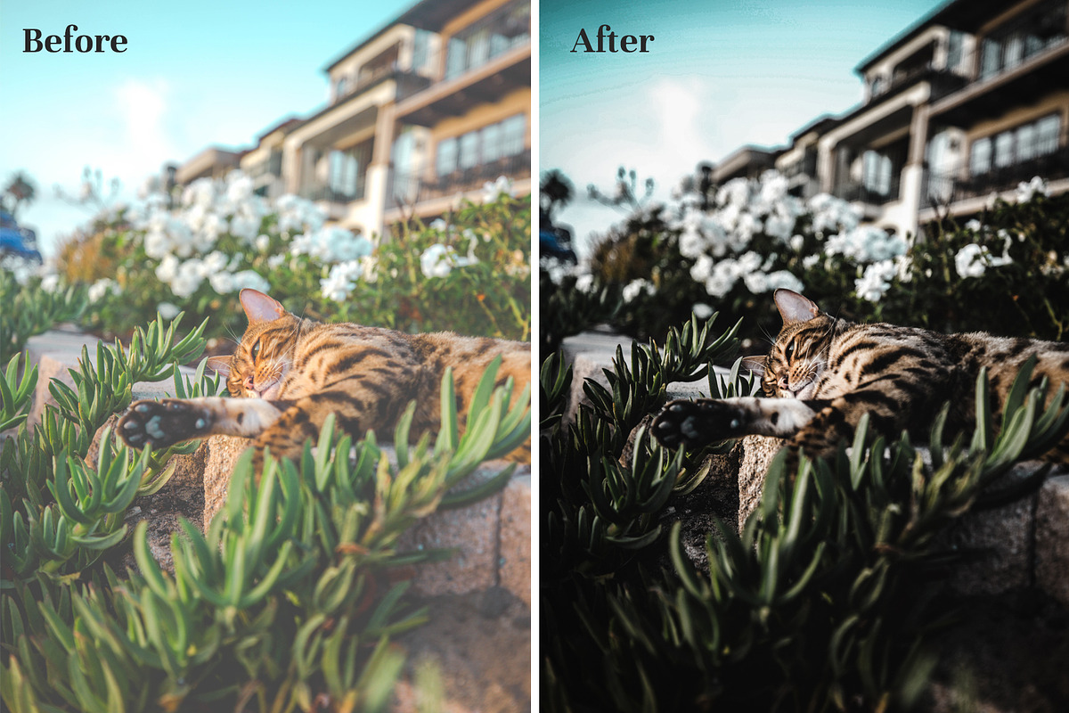 Dark & Moody Lightroom Presets preview 8