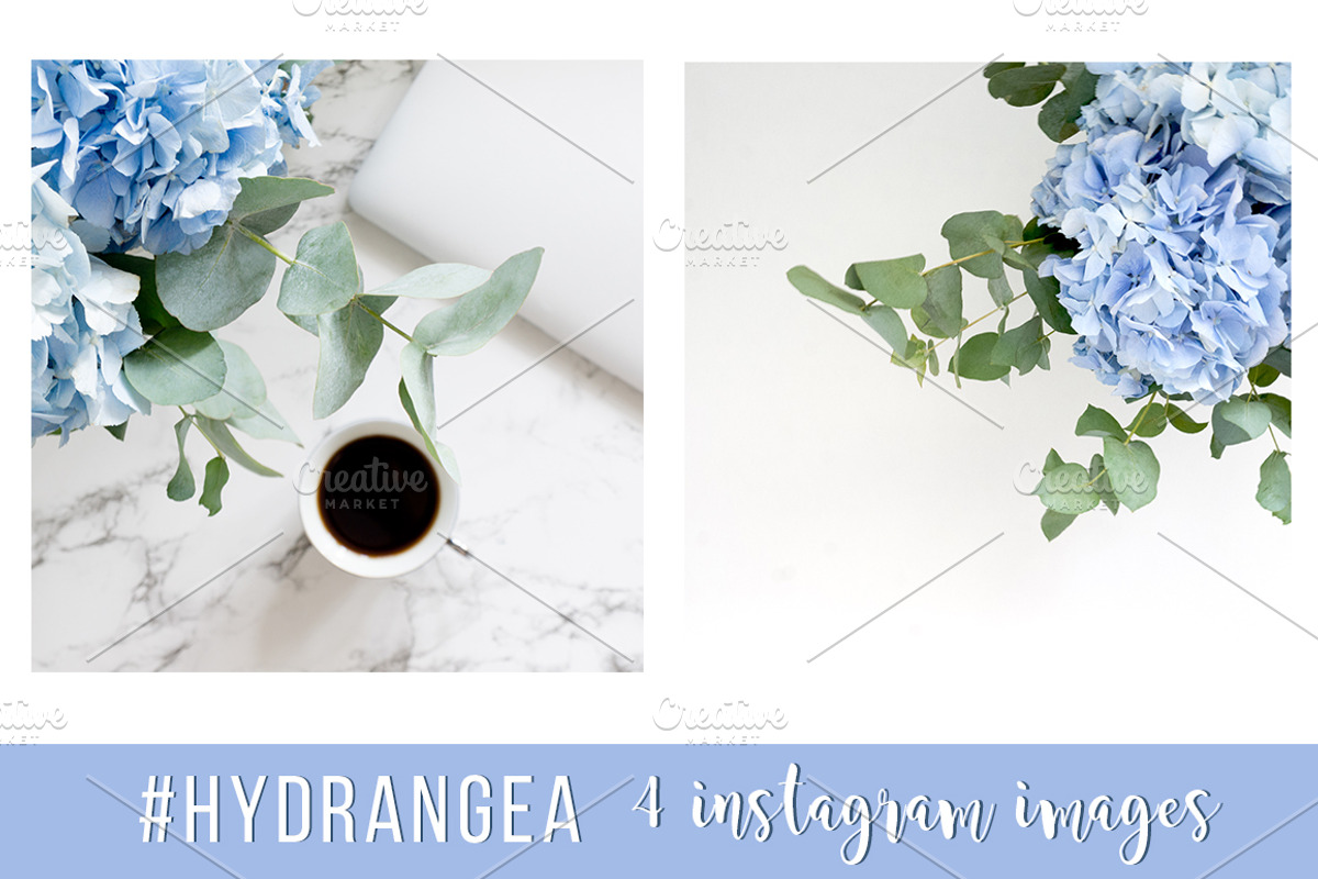 #Hydrangea. 4 Instagram images, a Product Mockup by Bang Bang Bureau (Photo 2 of 4)