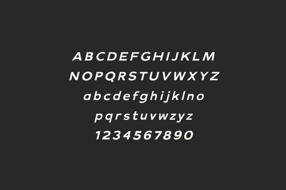 Milne - A Bold Sans Serif, a Sans Serif Font by Cassandra Cappello (Photo 8 of 11)