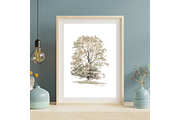 Vintage Tree Sketch Wall Art, a Decorative Illustration by Pink_bloom (Thumbnail 5 of 10)