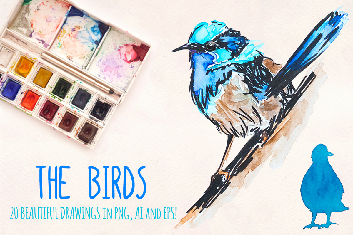20 Colorful Bird Watercolor Graphics, an Animal Illustration by Violet LeBeaux (Photo 2 of 3)