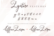 Art Maria, a Script Font by Letterara (Thumbnail 5 of 12)