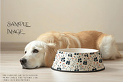 Pet Bowls PNG & PSD Mockups, a Product Mockup by mock-ups (Thumbnail 6 of 14)