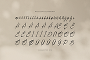 Danthalion Elegant Signature Script, a Script Font by gracetype_studio (Thumbnail 11 of 12)