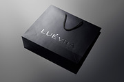Logo Mockup Luxury Shopping Bag, a Packaging Mockup by Asylab (Thumbnail 1 of 5)