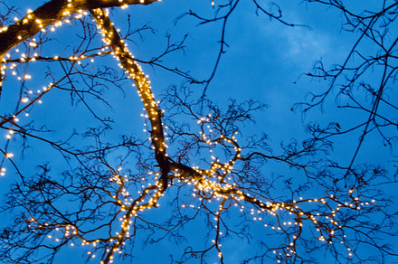 Decoration stock photo containing christmas and celebration, an Arts & Entertainment Photo by Innire