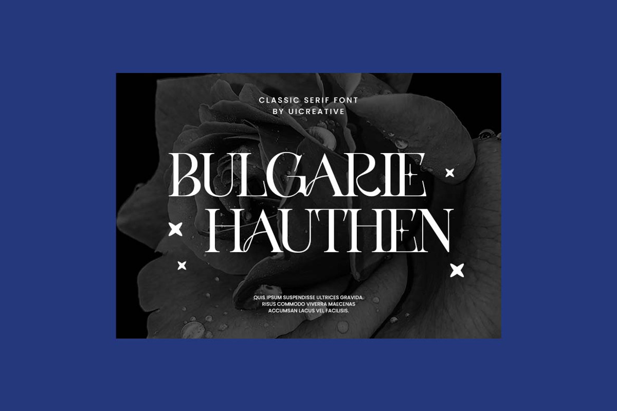 Crown Emperial Serif Display Font, a Serif Font by UICreative (Photo 6 of 13)