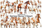 Spring Horse Clipart, an Illustration by Designworld (Thumbnail 1 of 7)
