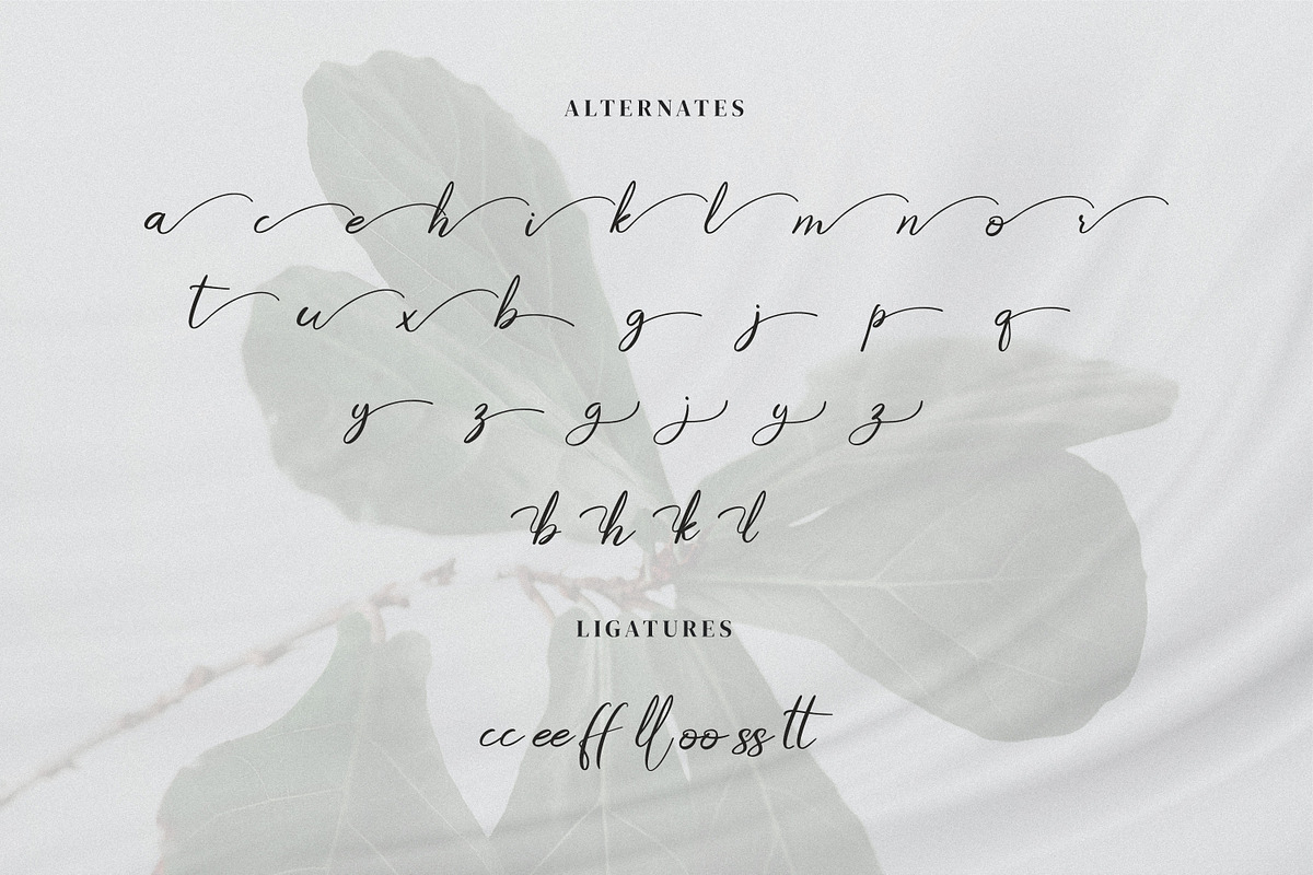 Jhelysta, a Font by Goresan Studio (Photo 12 of 15)