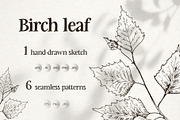 Birch leaf. Sketch and patterns, an Illustration by Canatic (Thumbnail 1 of 10)