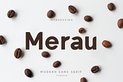 Merau Modern Sans Serif Font, a Sans Serif Font by Dicubit (Thumbnail 1 of 5)