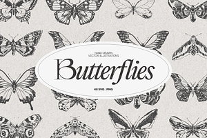 Drawings Of Butterflies