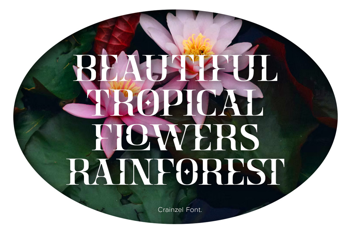 Crainzel - Display Serif Font, a Serif Font by Letterhend Studio (Photo 9 of 9)