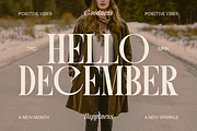 Folden - Serif Display Font, a Serif Font by Marvadesign (Thumbnail 10 of 11)