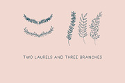 Florals Procreate Stamp Brushes, a Brushes & More by BohoCalligraphy (Thumbnail 5 of 5)