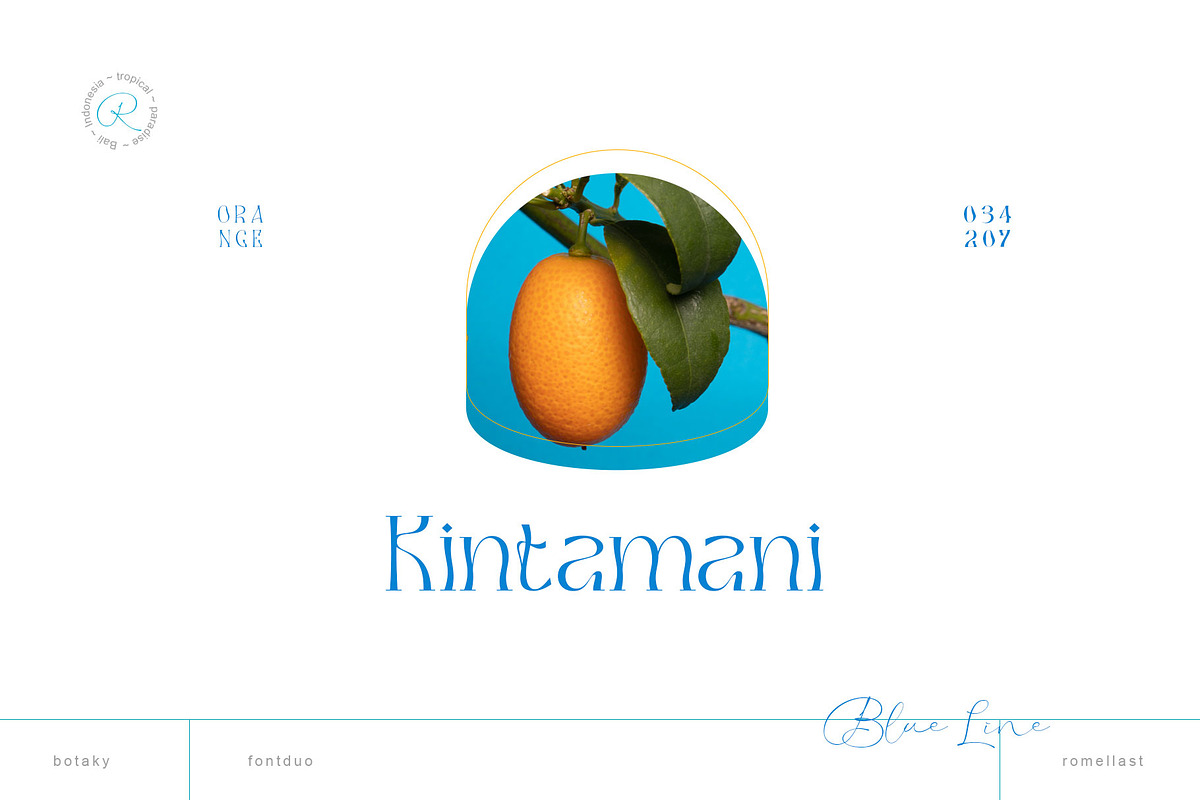 BOTAKY Romellast, a Serif Font by alit design (Photo 5 of 19)