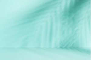 Blue background with palm shadows., a Background Photo by Nadia-nb