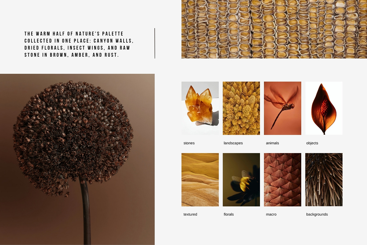 Warm Earth | 290 Earth Tone Photos, a Nature Photo by Tale.Haus (Photo 6 of 18)