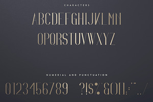 Irina Luxe Serif Font -30%