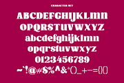 Calter Serif Bold Display Font, a Serif Font by Maulana Creative (Thumbnail 8 of 8)