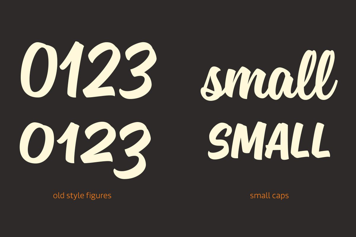 Sanelma, a Script Font by Mika Melvas (Photo 10 of 11)