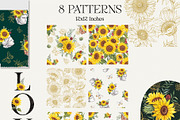 SUNFLOWERS watercolor elements, an Illustration by Elena_Sedova (Thumbnail 10 of 14)