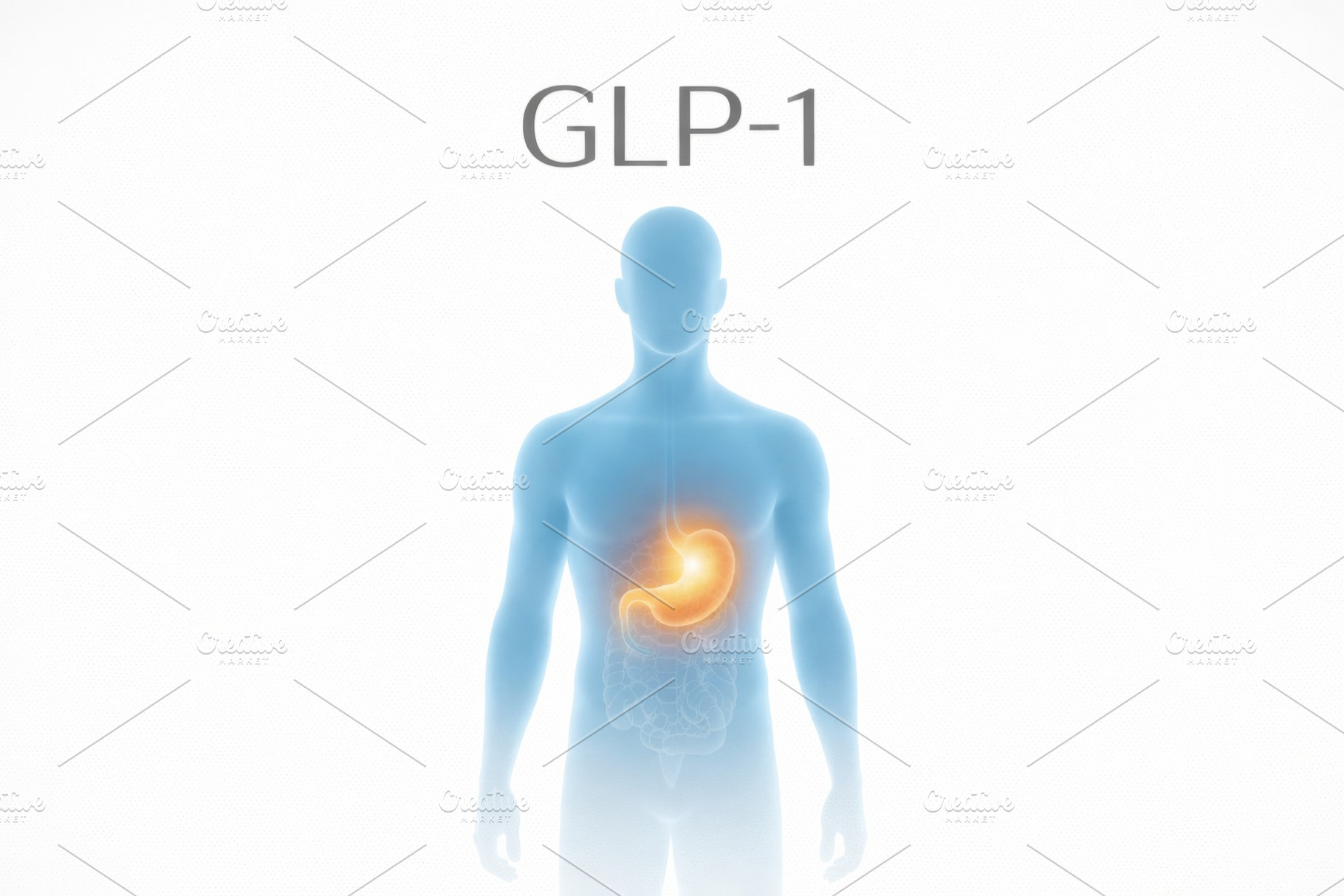 GLP1 hormone regulating appetite in human body illustration, med, a Photo by Dvoevnore photos