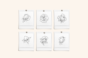 Rose Garden Vector Illustrations, an Illustration by Emma Webb Studio (Thumbnail 7 of 8)