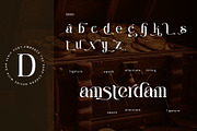 Centibillionaire, a Serif Font by Letterara (Thumbnail 12 of 13)
