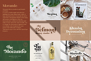 Elegant Serif Bundle, a Serif Font by Larin Type Co. (Thumbnail 7 of 18)